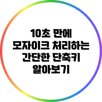 10초 만에 모자이크 처리하는 간단한 단축키 알아보기