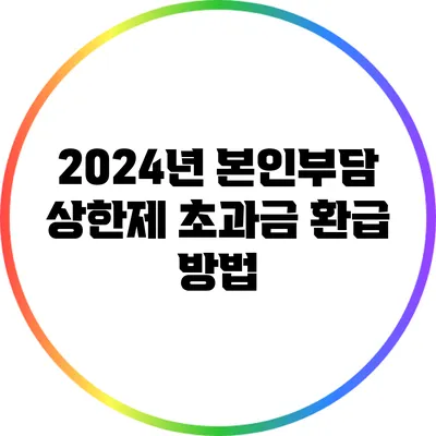 2024년 본인부담 상한제 초과금 환급 방법