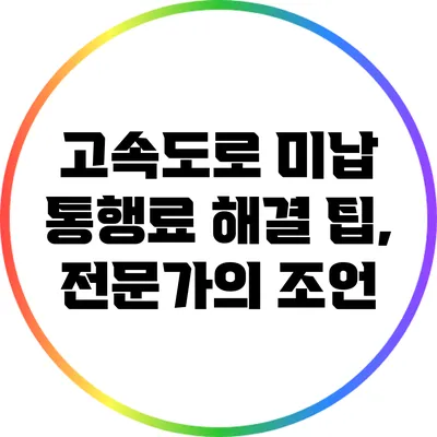 고속도로 미납 통행료 해결 팁, 전문가의 조언