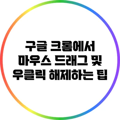구글 크롬에서 마우스 드래그 및 우클릭 해제하는 팁