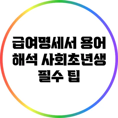 급여명세서 용어 해석: 사회초년생 필수 팁