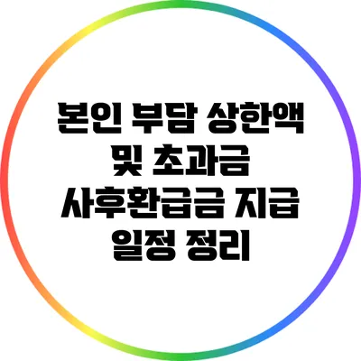 본인 부담 상한액 및 초과금 사후환급금 지급 일정 정리