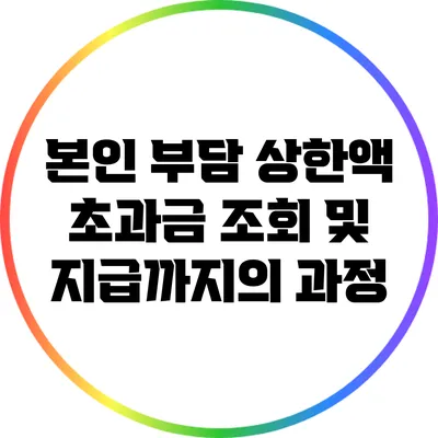 본인 부담 상한액 초과금 조회 및 지급까지의 과정