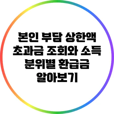 본인 부담 상한액 초과금 조회와 소득 분위별 환급금 알아보기