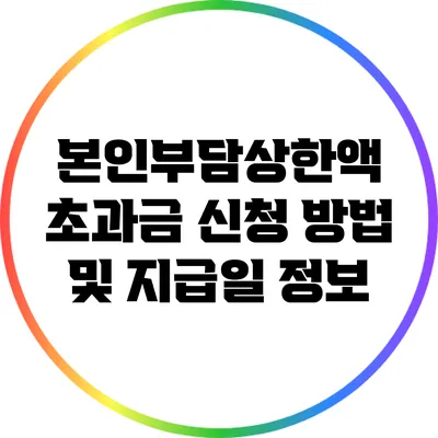 본인부담상한액 초과금 신청 방법 및 지급일 정보