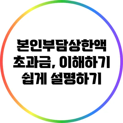 본인부담상한액 초과금, 이해하기 쉽게 설명하기
