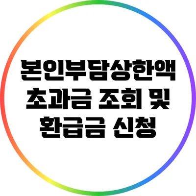 본인부담상한액 초과금 조회 및 환급금 신청