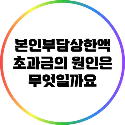 본인부담상한액 초과금의 원인은 무엇일까요?