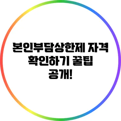 본인부담상한제 자격 확인하기: 꿀팁 공개!