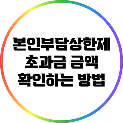 본인부담상한제 초과금 금액 확인하는 방법