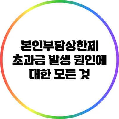 본인부담상한제 초과금 발생 원인에 대한 모든 것