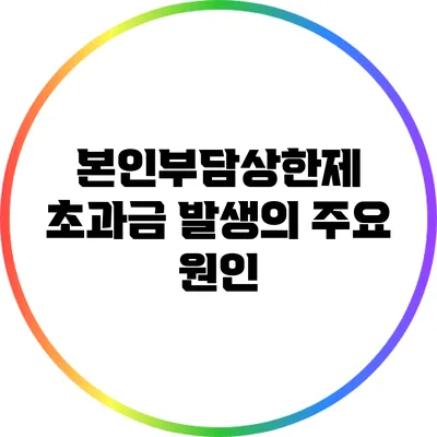 본인부담상한제 초과금 발생의 주요 원인
