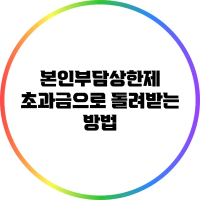본인부담상한제 초과금으로 돌려받는 방법
