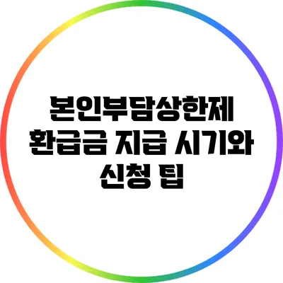 본인부담상한제 환급금 지급 시기와 신청 팁