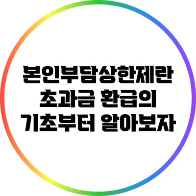 본인부담상한제란? 초과금 환급의 기초부터 알아보자