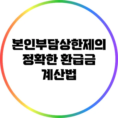 본인부담상한제의 정확한 환급금 계산법