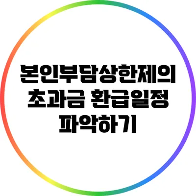 본인부담상한제의 초과금 환급일정 파악하기