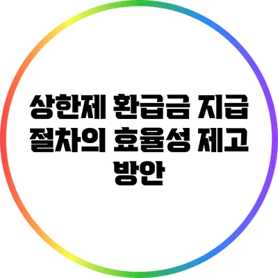 상한제 환급금 지급 절차의 효율성 제고 방안