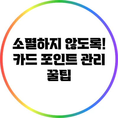 소멸하지 않도록! 카드 포인트 관리 꿀팁