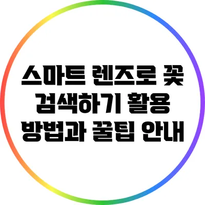 스마트 렌즈로 꽃 검색하기: 활용 방법과 꿀팁 안내