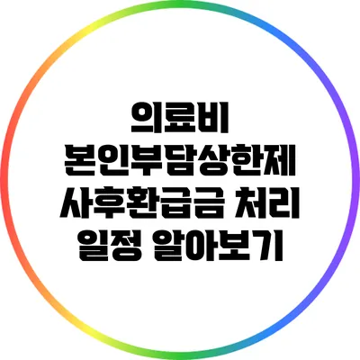 의료비 본인부담상한제 사후환급금 처리 일정 알아보기