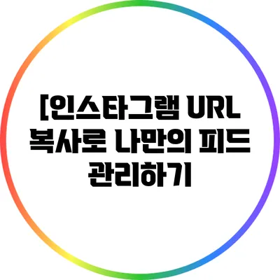 [인스타그램 URL 복사로 나만의 피드 관리하기