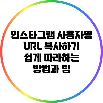 인스타그램 사용자명 URL 복사하기: 쉽게 따라하는 방법과 팁