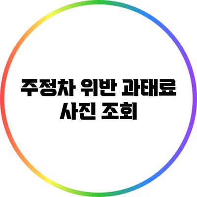 주정차 위반 과태료 사진 조회