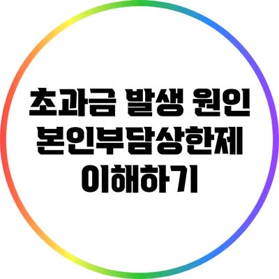 초과금 발생 원인: 본인부담상한제 이해하기