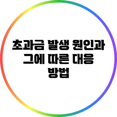 초과금 발생 원인과 그에 따른 대응 방법