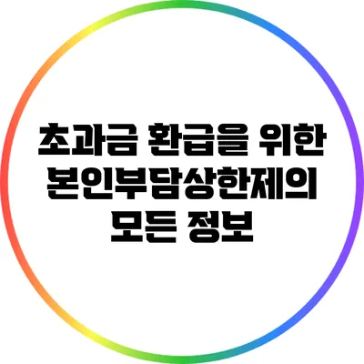 초과금 환급을 위한 본인부담상한제의 모든 정보