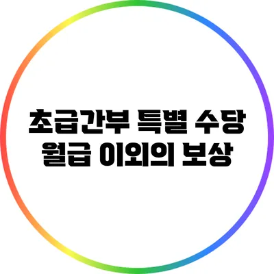 초급간부 특별 수당: 월급 이외의 보상