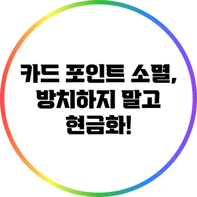 카드 포인트 소멸, 방치하지 말고 현금화!