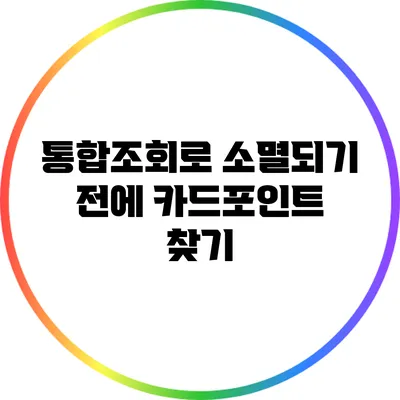 통합조회로 소멸되기 전에 카드포인트 찾기