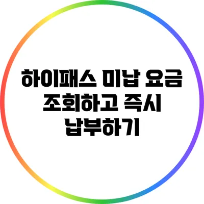 하이패스 미납 요금 조회하고 즉시 납부하기