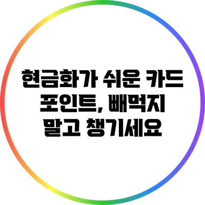 현금화가 쉬운 카드 포인트, 빼먹지 말고 챙기세요