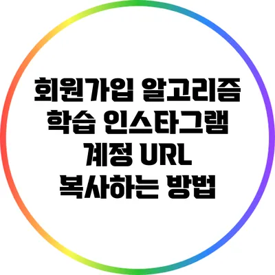 회원가입 알고리즘 학습: 인스타그램 계정 URL 복사하는 방법