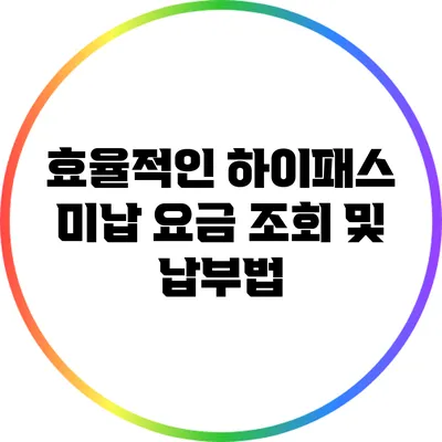 효율적인 하이패스 미납 요금 조회 및 납부법