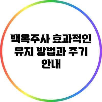 백옥주사 효과적인 유지 방법과 주기 안내