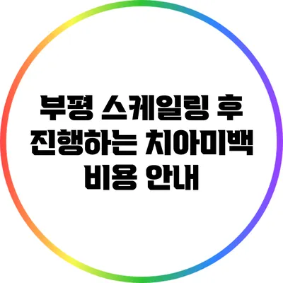 부평 스케일링 후 진행하는 치아미백 비용 안내