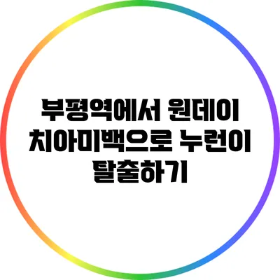 부평역에서 원데이 치아미백으로 누런이 탈출하기