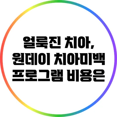 얼룩진 치아, 원데이 치아미백 프로그램 비용은?