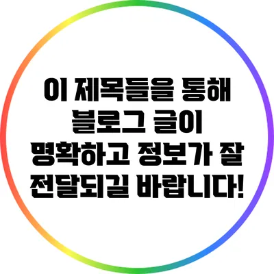 이 제목들을 통해 블로그 글이 명확하고 정보가 잘 전달되길 바랍니다!