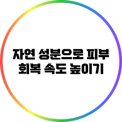 자연 성분으로 피부 회복 속도 높이기
