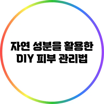 자연 성분을 활용한 DIY 피부 관리법