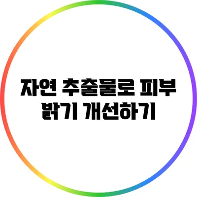 자연 추출물로 피부 밝기 개선하기