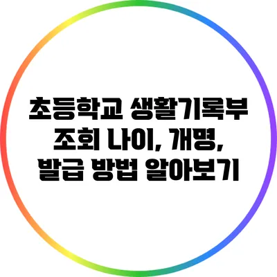 초등학교 생활기록부 조회: 나이, 개명, 발급 방법 알아보기