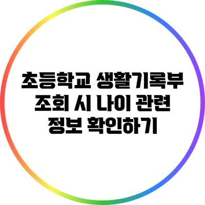 초등학교 생활기록부 조회 시 나이 관련 정보 확인하기