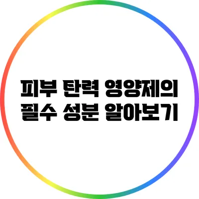 피부 탄력 영양제의 필수 성분 알아보기