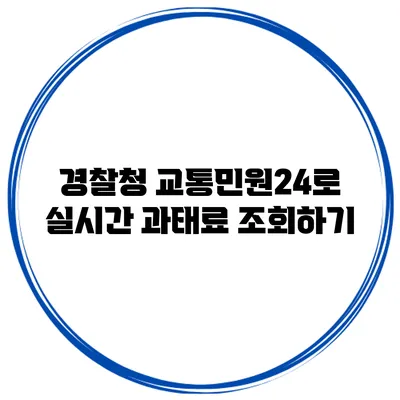경찰청 교통민원24로 실시간 과태료 조회하기